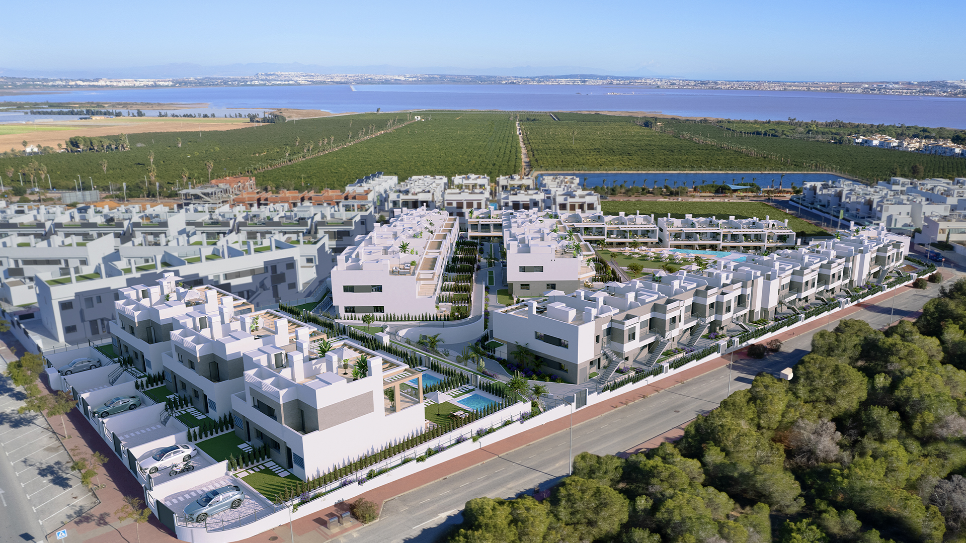 Coronella Living — image 2