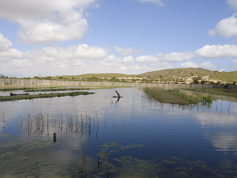 Infinity View — image 11